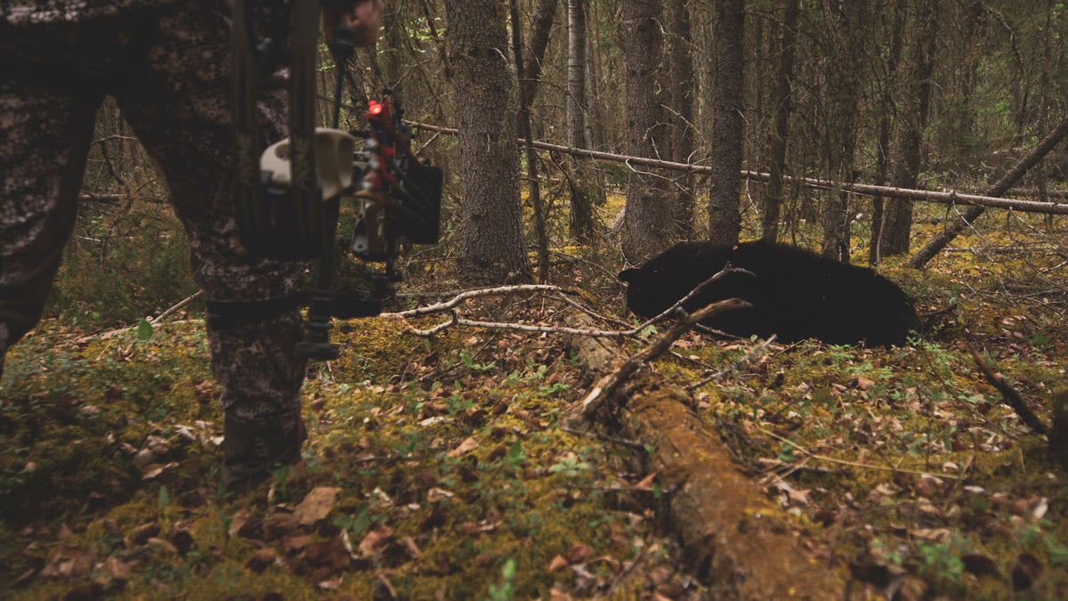 Badlands Pro Staff Offers Up Alternatives When Your Tag Draw Goes Bad