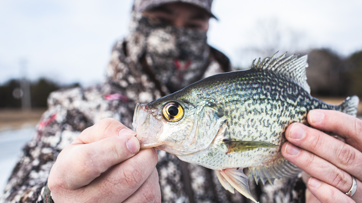 Badlands Goes Fishing for Science