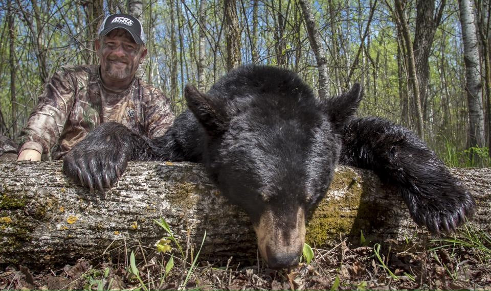 Bears and Bears and Bears….Oh my! Badlands Packs Enter Bear Country