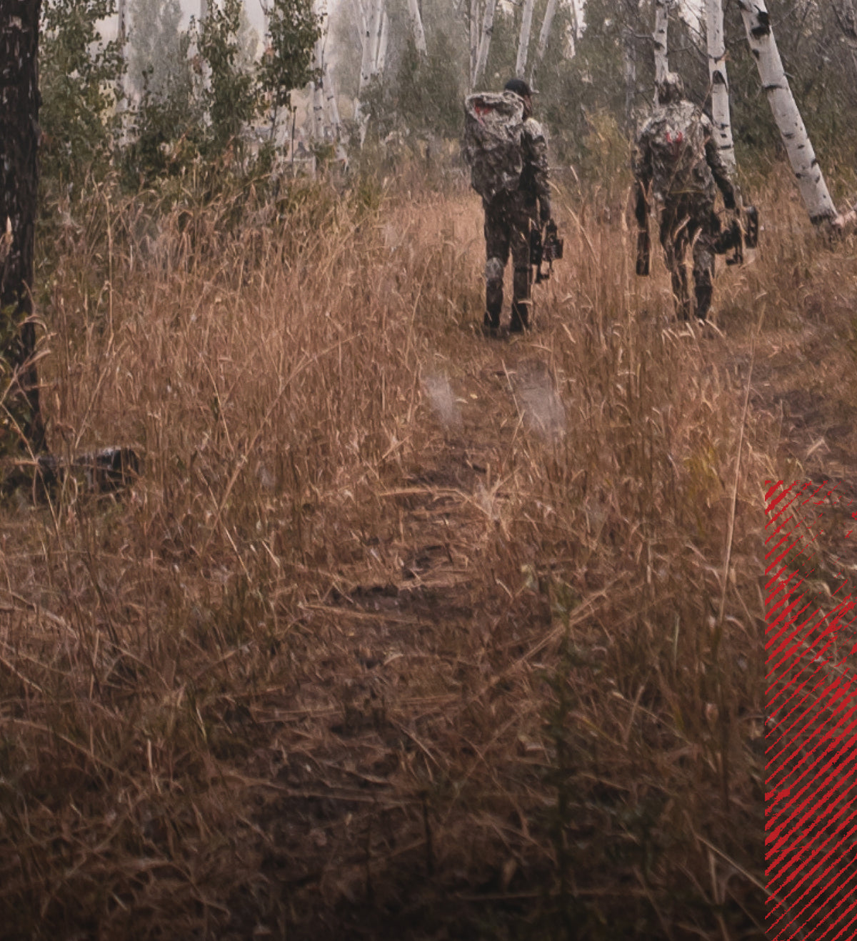 Two hunters in camo with Badlands skull logos walk through tall grass in a birch forest, carrying gear.