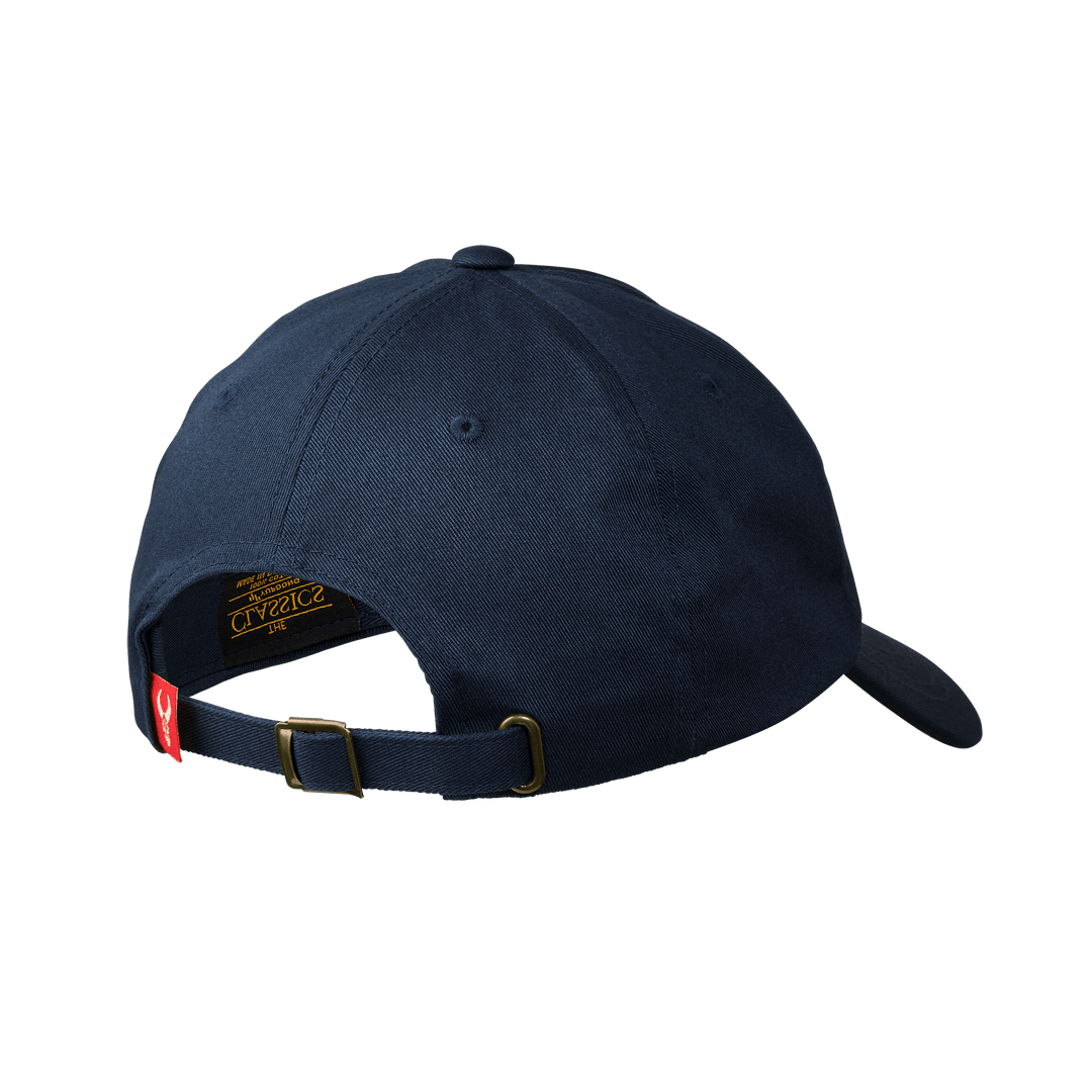 DAD HAT