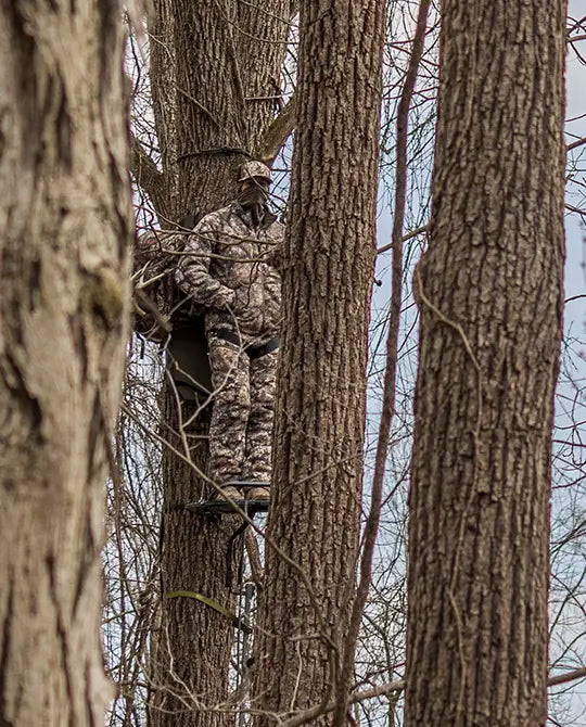 Hunter in Badlands camo stands on a tree stand among tall trees, blending into the forest background.